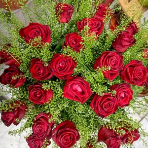 פרחי פנחס - פרחי הילה - ורדים